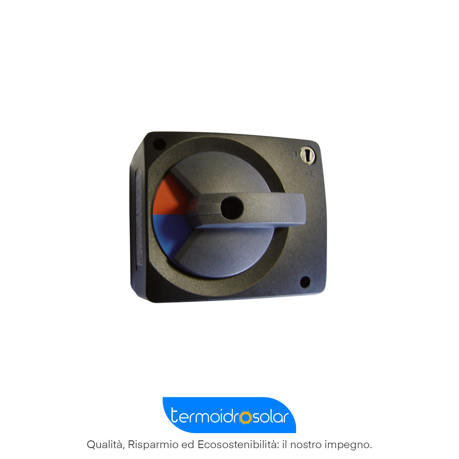 Servomotore Elettrico Rotativo 24 Volt AC